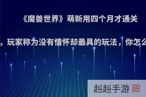 《魔兽世界》萌新用四个月才通关MC，玩家称为没有情怀却最具的玩法，你怎么看?