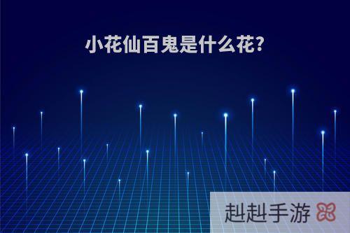 小花仙百鬼是什么花?