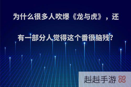 为什么很多人吹爆《龙与虎》，还有一部分人觉得这个番很脑残?