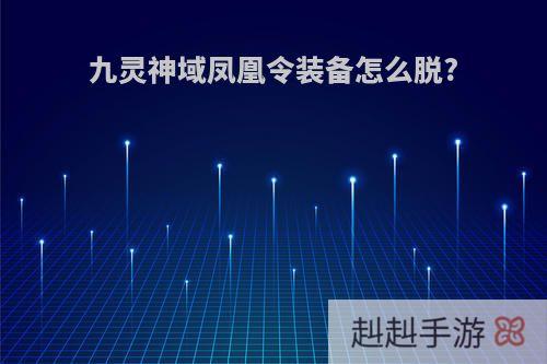 九灵神域凤凰令装备怎么脱?