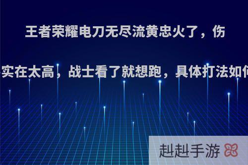 王者荣耀电刀无尽流黄忠火了，伤害实在太高，战士看了就想跑，具体打法如何?