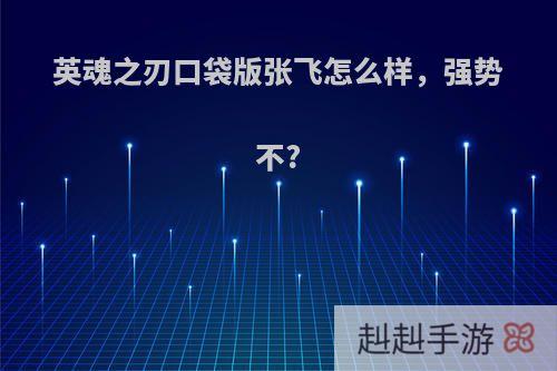 英魂之刃口袋版张飞怎么样，强势不?