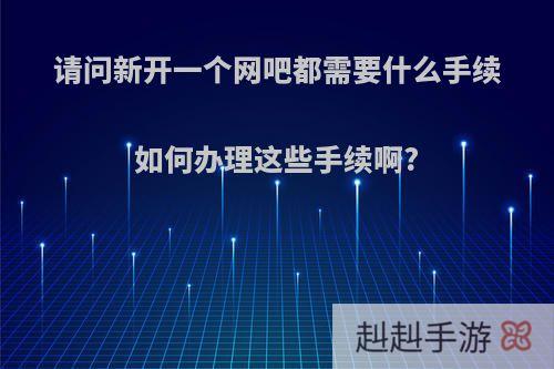 请问新开一个网吧都需要什么手续如何办理这些手续啊?