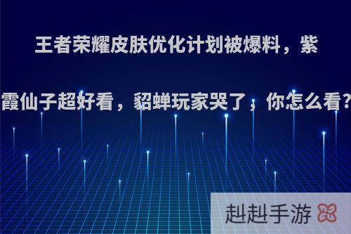 王者荣耀皮肤优化计划被爆料，紫霞仙子超好看，貂蝉玩家哭了，你怎么看?