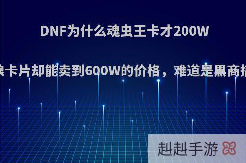 DNF为什么魂虫王卡才200W，地板娘卡片却能卖到600W的价格，难道是黑商搞得鬼吗?