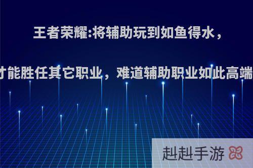 王者荣耀:将辅助玩到如鱼得水，才能胜任其它职业，难道辅助职业如此高端?