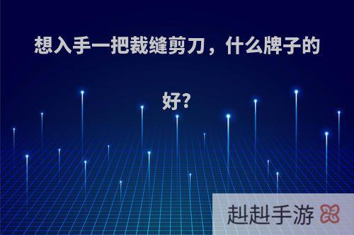 想入手一把裁缝剪刀，什么牌子的好?