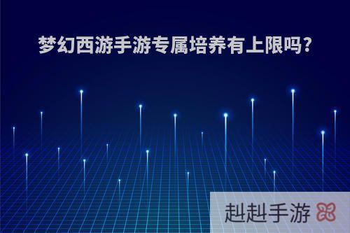 梦幻西游手游专属培养有上限吗?