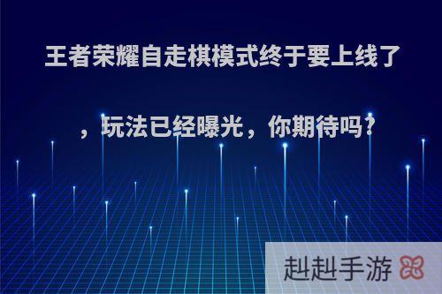 王者荣耀自走棋模式终于要上线了，玩法已经曝光，你期待吗?