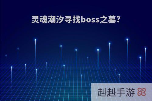 灵魂潮汐寻找boss之墓?