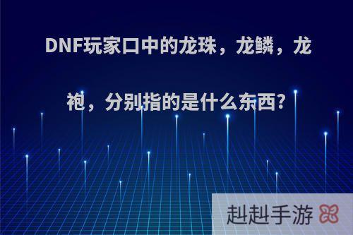 DNF玩家口中的龙珠，龙鳞，龙袍，分别指的是什么东西?