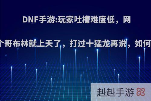 DNF手游:玩家吐槽难度低，网友秒个哥布林就上天了，打过十猛龙再说，如何评价?