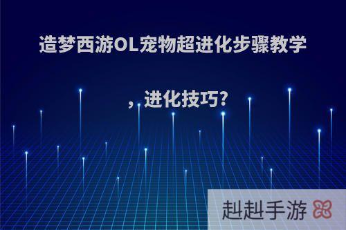 造梦西游OL宠物超进化步骤教学，进化技巧?