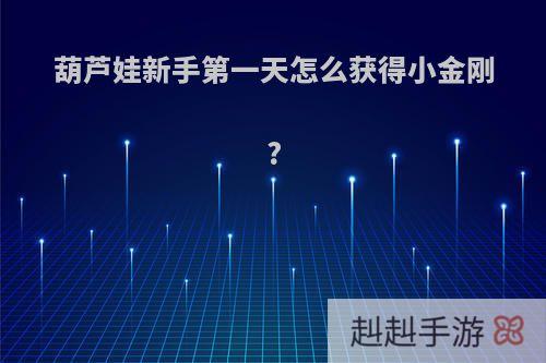 葫芦娃新手第一天怎么获得小金刚?