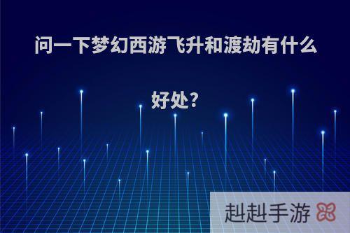 问一下梦幻西游飞升和渡劫有什么好处?