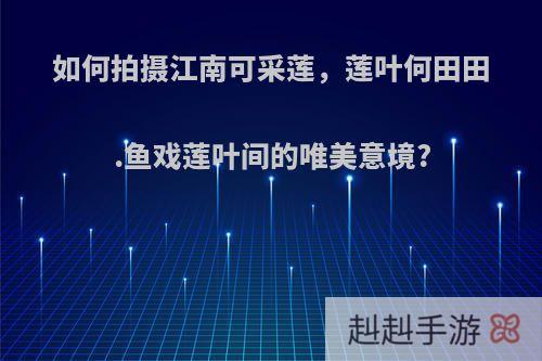 如何拍摄江南可采莲，莲叶何田田.鱼戏莲叶间的唯美意境?
