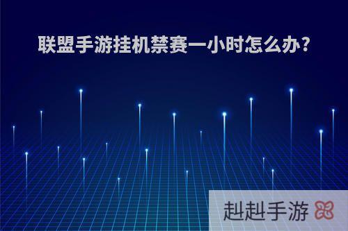 联盟手游挂机禁赛一小时怎么办?