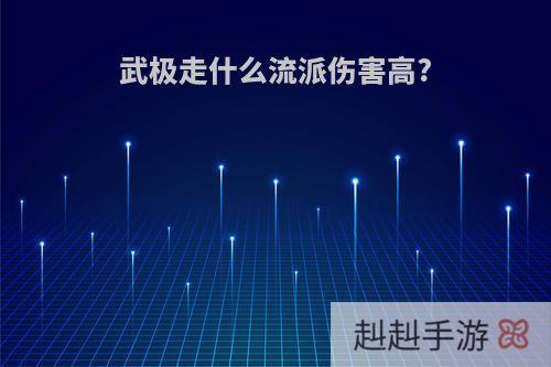武极走什么流派伤害高?