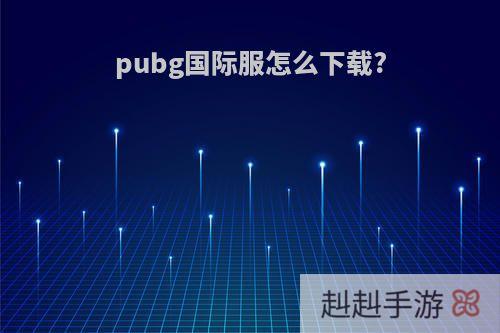 pubg国际服怎么下载?