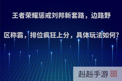 王者荣耀惩戒刘邦新套路，边路野区称霸，排位疯狂上分，具体玩法如何?