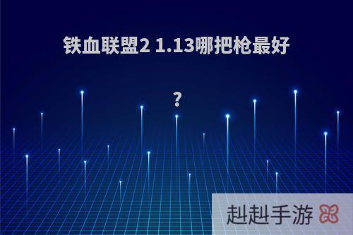 铁血联盟2 1.13哪把枪最好?
