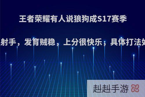 王者荣耀有人说狼狗成S17赛季最强射手，发育贼稳，上分很快乐，具体打法如何?