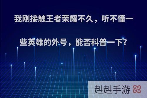 我刚接触王者荣耀不久，听不懂一些英雄的外号，能否科普一下?