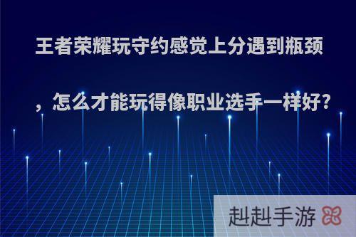 王者荣耀玩守约感觉上分遇到瓶颈，怎么才能玩得像职业选手一样好?
