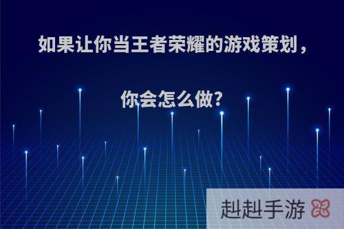 如果让你当王者荣耀的游戏策划，你会怎么做?