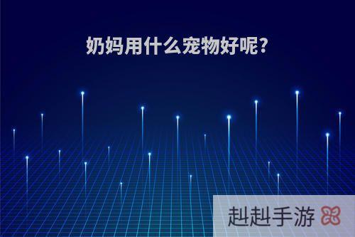 奶妈用什么宠物好呢?