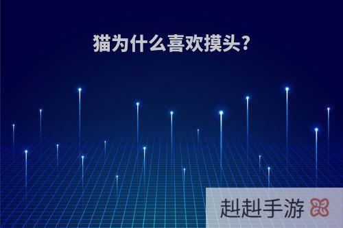 猫为什么喜欢摸头?