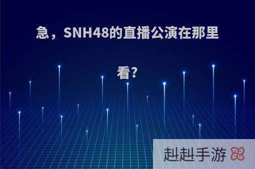 急，SNH48的直播公演在那里看?