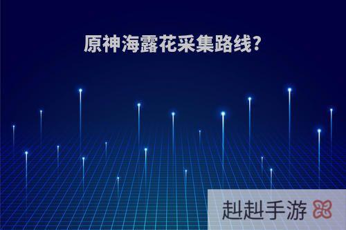 原神海露花采集路线?
