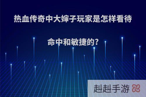 热血传奇中大婶子玩家是怎样看待命中和敏捷的?