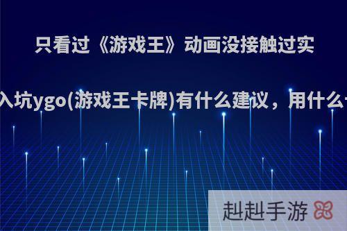 只看过《游戏王》动画没接触过实卡的小白想入坑ygo(游戏王卡牌)有什么建议，用什么卡组比较好?