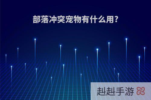 部落冲突宠物有什么用?