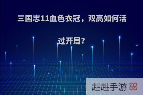 三国志11血色衣冠，双高如何活过开局?