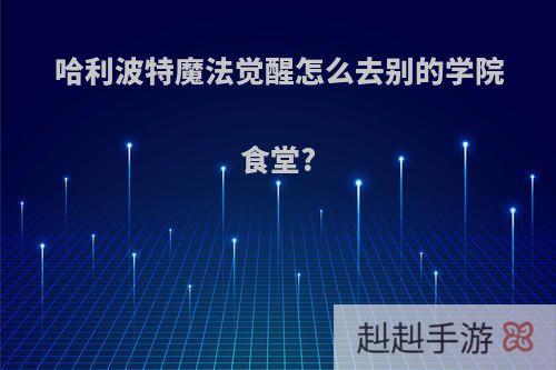 哈利波特魔法觉醒怎么去别的学院食堂?