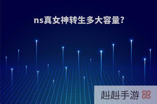 ns真女神转生多大容量?