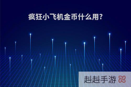 疯狂小飞机金币什么用?