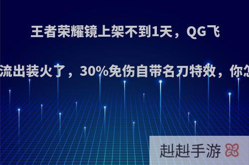 王者荣耀镜上架不到1天，QG飞牛边坦流出装火了，30%免伤自带名刀特效，你怎么看?