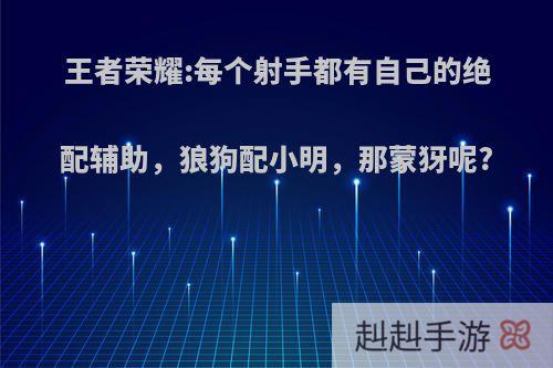 王者荣耀:每个射手都有自己的绝配辅助，狼狗配小明，那蒙犽呢?