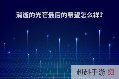 消逝的光芒最后的希望怎么样?