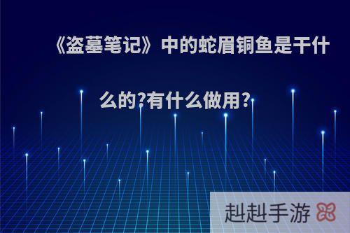 《盗墓笔记》中的蛇眉铜鱼是干什么的?有什么做用?