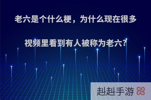 老六是个什么梗，为什么现在很多视频里看到有人被称为老六?