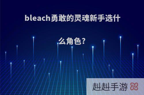 bleach勇敢的灵魂新手选什么角色?