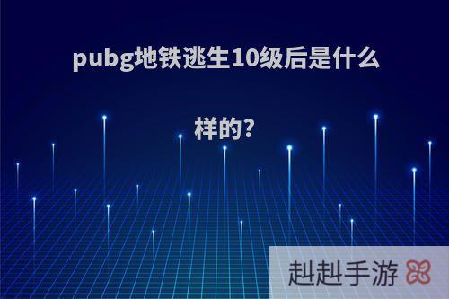 pubg地铁逃生10级后是什么样的?