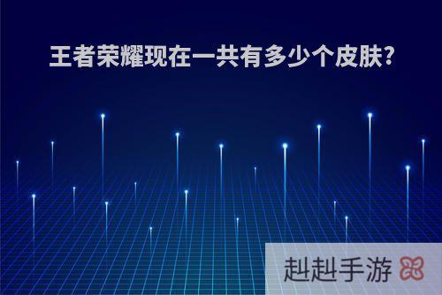 王者荣耀现在一共有多少个皮肤?