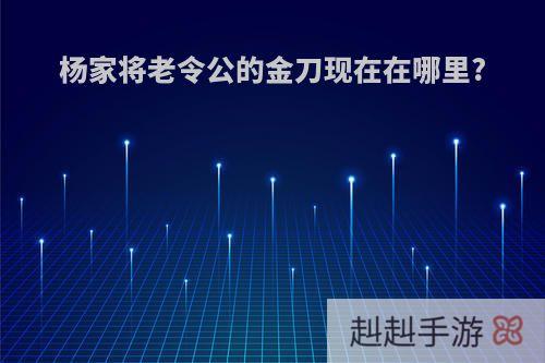 杨家将老令公的金刀现在在哪里?