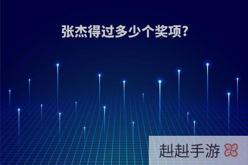 张杰得过多少个奖项?